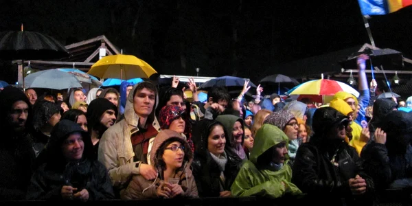 Plai 2013 - Patrice şi Vieux Farka Toure FOTO