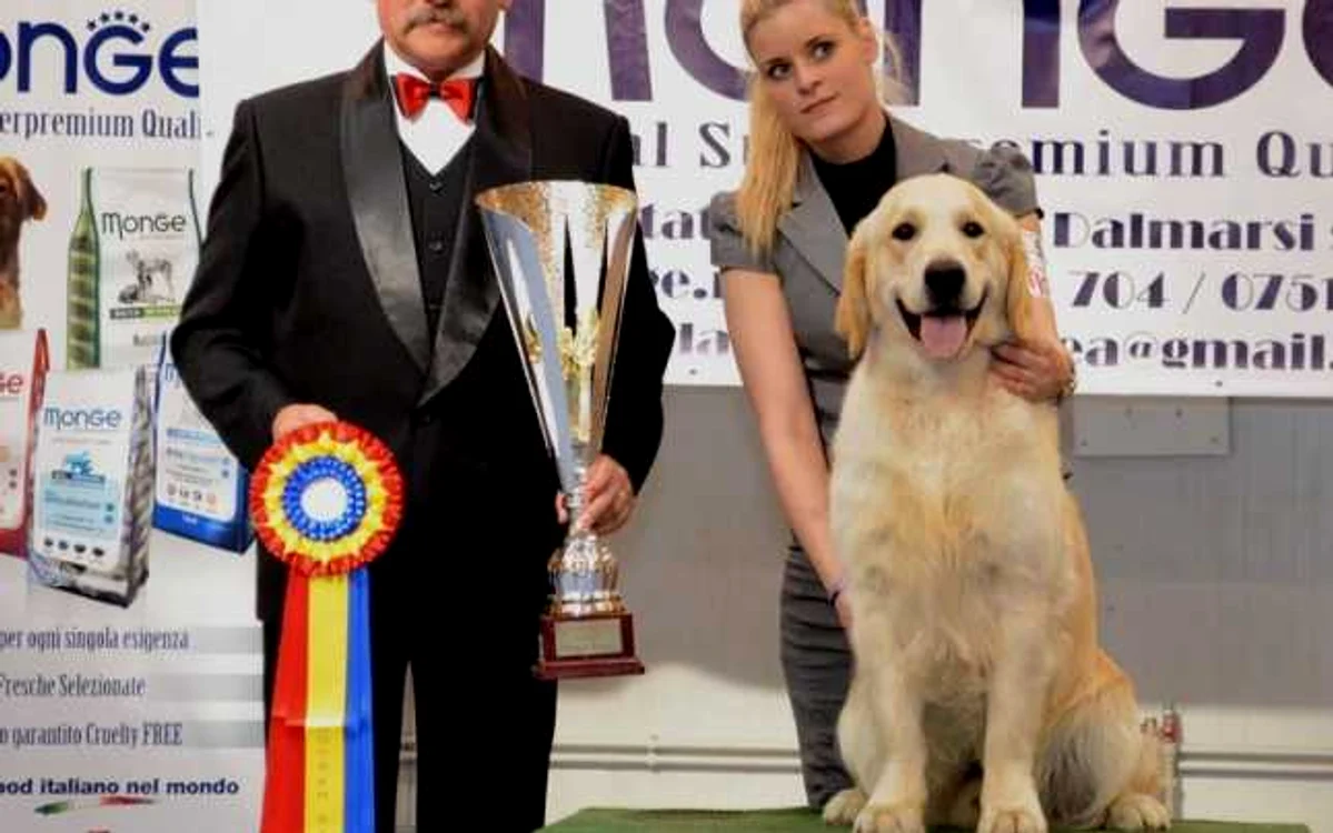 "Dome" a câştigat titlul suprem la cea de a 38-a ediţie de International Dog Show Satu Mare. FOTO - portalsm.ro
