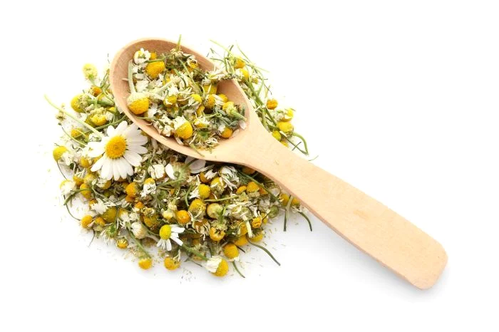 1 shutterstock 692790760 jpg jpeg