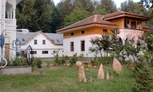 La Cetate, la festival jpeg