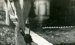 Conte și rentier jpeg