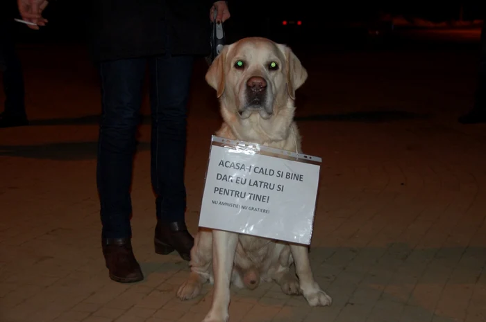 Protest la Slobozia