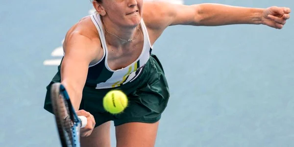 Begu jpg