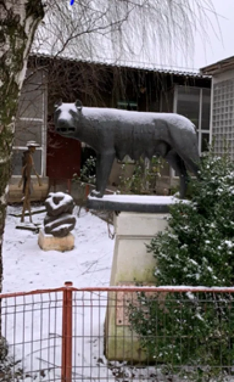 perchezitii bucuresti scuptura lupoaica foto captura video politia capitalei