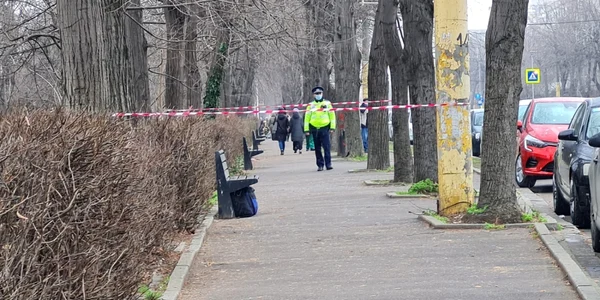 geanta suspecta constanta