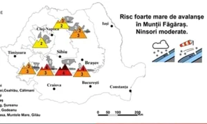 70becd09 4026 49cd 970a cc7b2670f868 jpeg