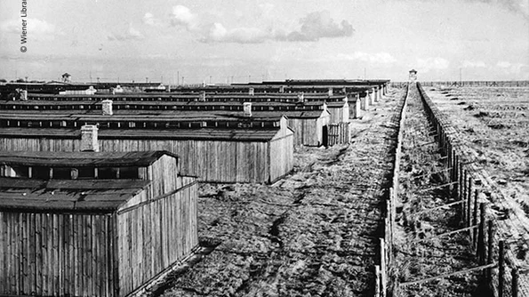 Incendiu în fostul lagăr de concentrare nazist de la Majdanek jpeg