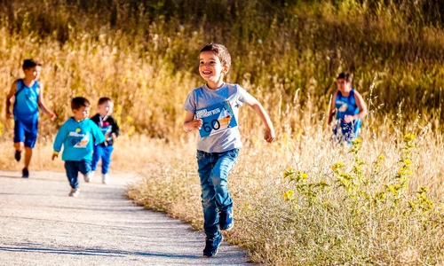 1 copiialergand jpg jpeg