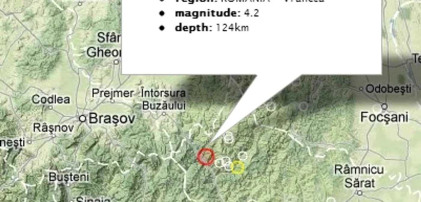 Cutremurul s-a produs la 124 de kilometri adâncime FOTO INFP