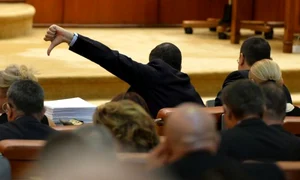 Deputaţii au decis în unanimitate respingerea proiectului jpeg