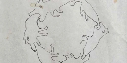 Desenul a fost folosit pentru a ilustra mai multe volume de poezii ale artistului