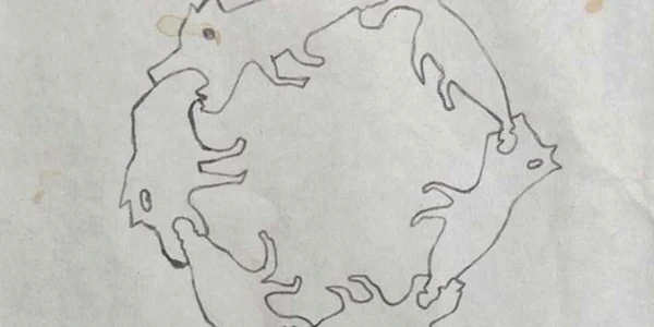 Desenul a fost folosit pentru a ilustra mai multe volume de poezii ale artistului