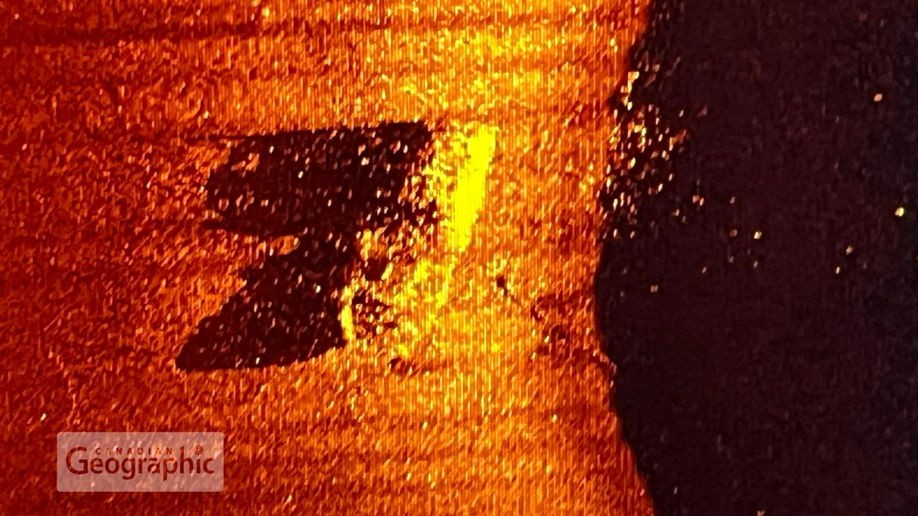 Epava ultimei nave a exploratorului Ernest Shackleton (© Canadian Geographic)