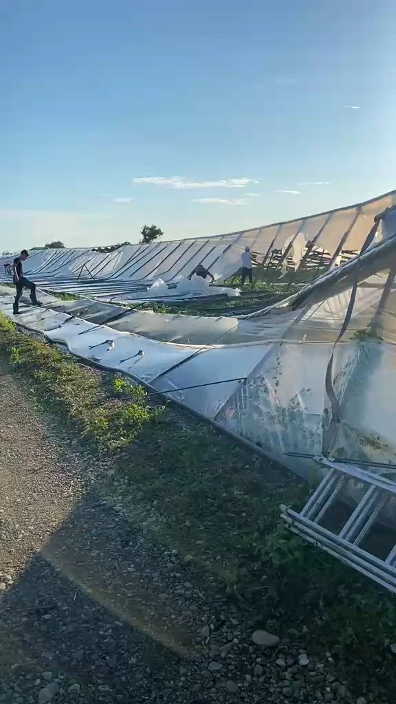 „N-am văzut niciodată așa ceva!” Solariile din Buzău, distruse în 5 minute de vijelie. „Vin roșiile din Turcia”