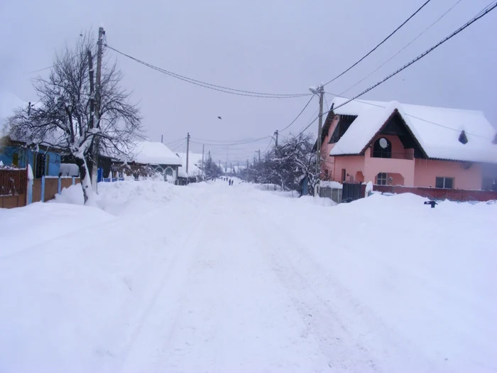 Echipe CEZ sunt pe teren pentru remedierea defecţiunilor FOTO Corina Macavei