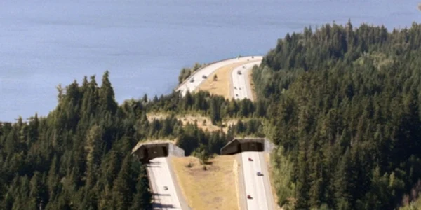 Trecătoare sălbatică lângă Lacul Keechelus, din statul american Washington