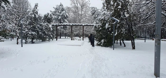 Aleile din parcuri au fost acoperite de zăpadă