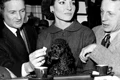 maria callas profimedia 0210125022 jpeg