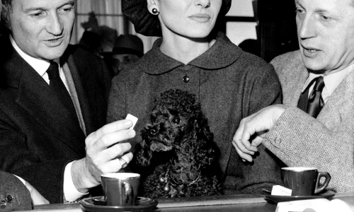 maria callas profimedia 0210125022 jpeg