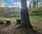 Sarmizegetusa Regia  Foto Daniel Guță ADEVĂRUL (3) jpg