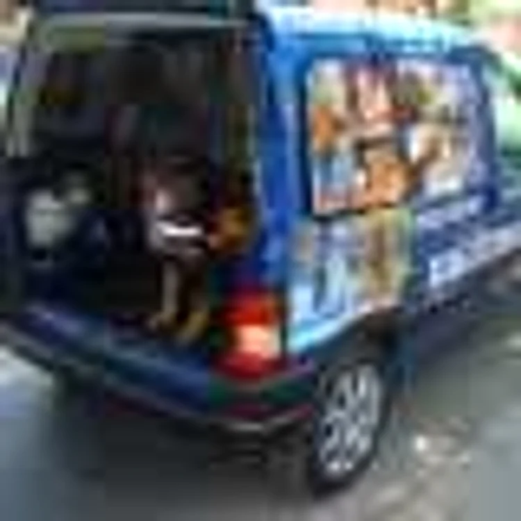 Bucureşti: Răsfăţ pentru căţei: parfum,bone şi taxi