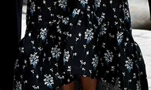 princess victoria wearing hm z jpeg