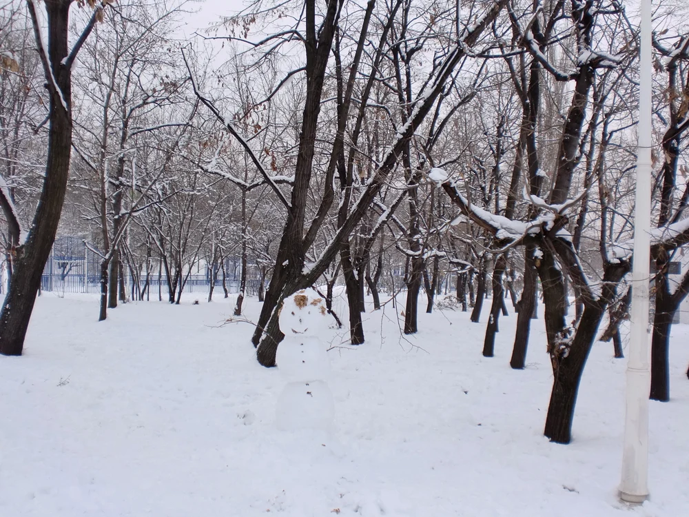 Iarna, în Parcul Tineretului și Cimitirul Bellu jpeg