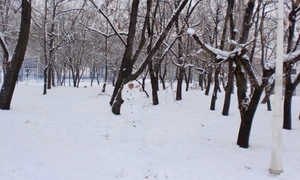 Iarna, în Parcul Tineretului și Cimitirul Bellu jpeg
