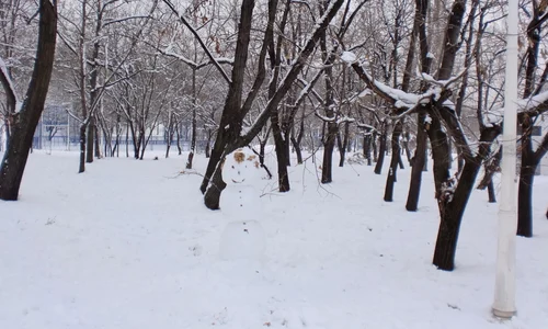 Iarna, în Parcul Tineretului și Cimitirul Bellu jpeg