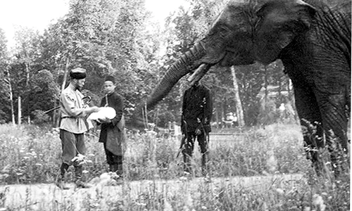 historia ro undefined jpeg