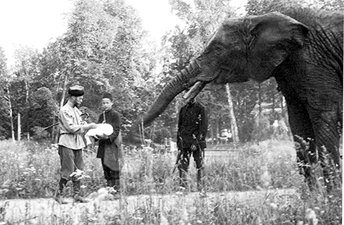 historia ro undefined jpeg