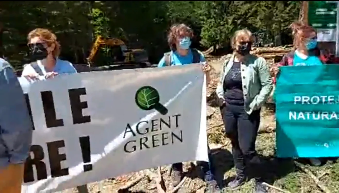 Protestatarii Agent Green, la Buşteni, în Valea Cerbului FOTO captură video Facebook