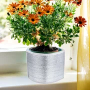 Folie de aluminiu la ghivece Foto Amazon com jpg