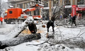 ninsoare bucuresti 25 01 2012 razvan chirita7 jpeg