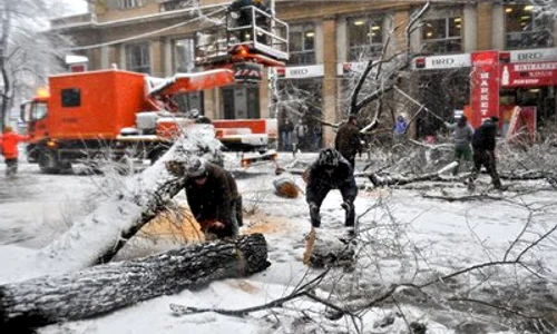 ninsoare bucuresti 25 01 2012 razvan chirita7 jpeg