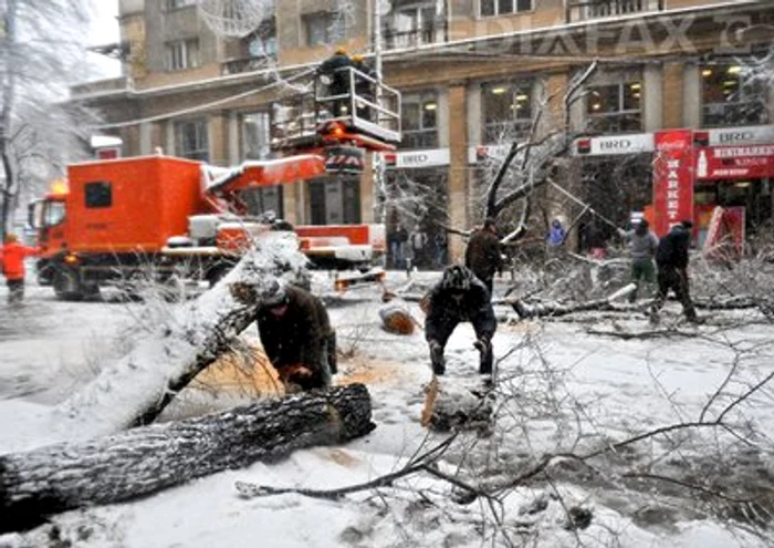 Peste 15 maşini au fost avariate în timpul vijeliei în CapitalăFoto: Mediafax