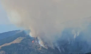 incendiu Muntii Parang jpeg