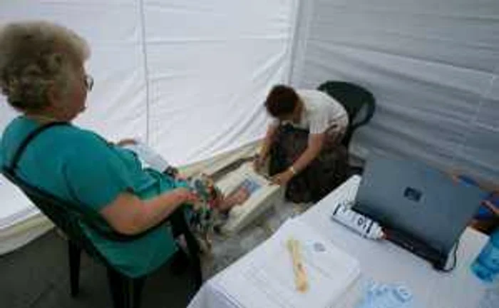 Medicii diagnostichează tot mai multe cazuri