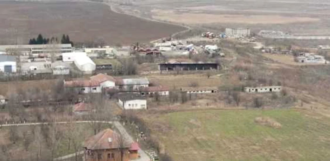 Ulmeni