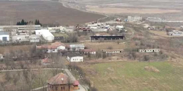 Ulmeni