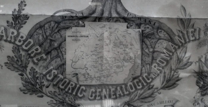 arborele Geanealogic al romaniei CJ Arges
