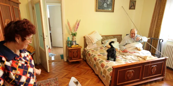Pichy și Isa trebuie să ajungă la stăpâni noi