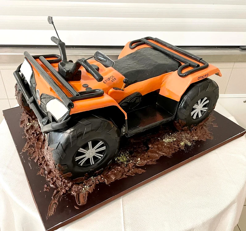 Tortul ATV cu luminile aprinse Foto: Arhivă personală Raluca Țîrcomnicu