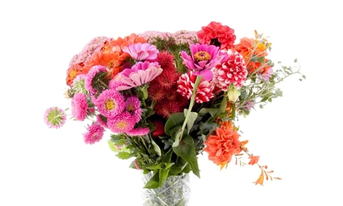 flori in vaza shutterstock 17403754 jpeg