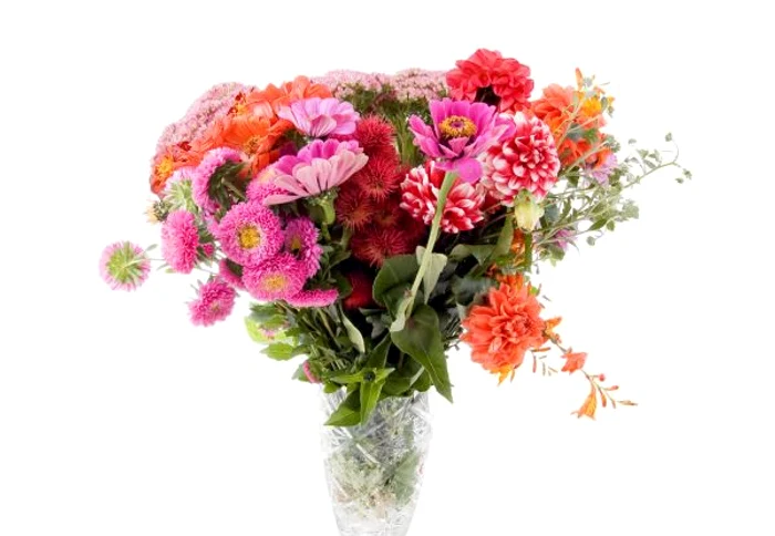 
    Zahărul împiedică florile să se ofilească   