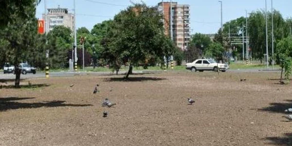 Turbogirația va fi amenajată într-o lună