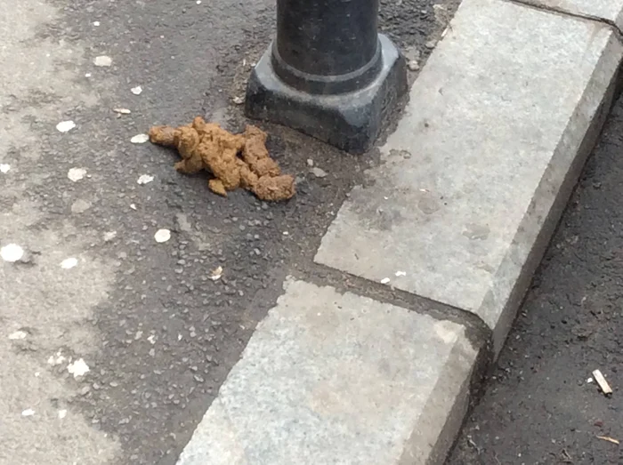 
    George Natsis a publicat mai multe fotografii similare făcute pe bulevardul Calea Moșilorfoto: arhiva personală  