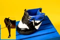Adidași pentru cai png