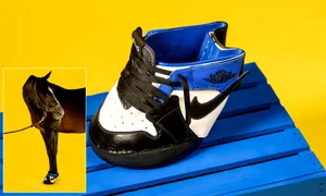 Adidași pentru cai png