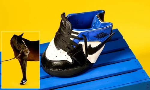 Adidași pentru cai png